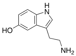 Buy Serotonin Cas 50-67-9