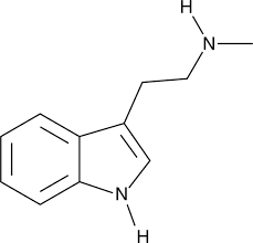 Buy N-Methyltryptamine (NMT) Cas 61-49-4