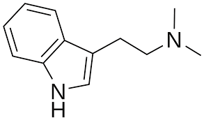 Buy CYB004 deuterated dimethyltryptamine (dDMT)