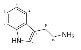 Buy Tryptamine Cas 61-54-1