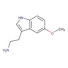 Buy 5-Methoxytryptamine Cas 608-07-1